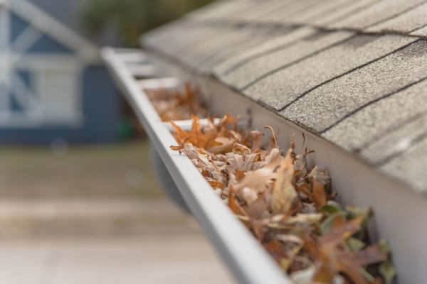 Leaf Barrier Installation in Batavia